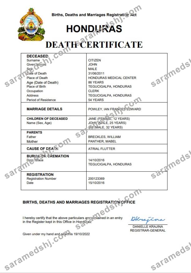 Honduras vital record death certificate Word and PDF template